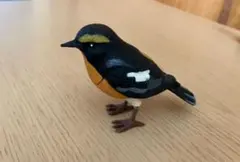 キビタキ　レジンヘアゴム　夏鳥　野鳥 キビタキレジンヘアゴム夏鳥野鳥