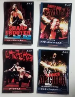 2026年最新】キンプロプロレスの人気アイテム - メルカリ