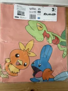 ポケモン プラチナムザッカトートバッグ　ホウエン地方