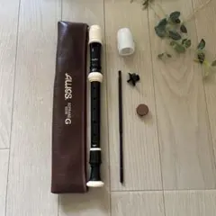 2026年最新】管楽器・吹奏楽器の人気アイテム - メルカリ