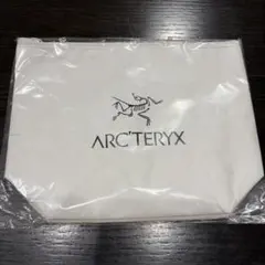 【未使用・非売品】ARC'TERYX ロゴ入りタイベックポーチ