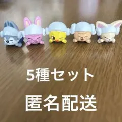 straykids スキズ SKZOO ふろふちころりん 5種セット