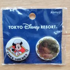 2025年最新】東京ディズニーリゾート ピンズ・ピンバッジ・缶バッジの