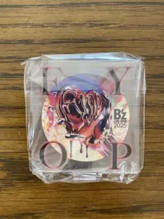 BZ LIVE GYM FYOP ガチャ　アクリルスタンド