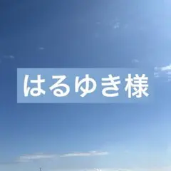 はるゆき様専用