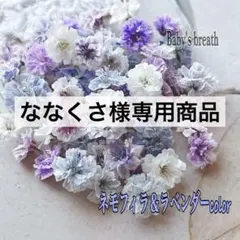 ななくさ様 リクエスト 2点 まとめ商品