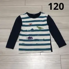 クレードスコープ　長袖　Tシャツ　120 ネイビー　ボーダー　恐竜