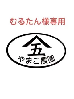 31むるたん様専用