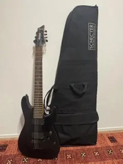 2026年最新】schecter DAMIENの人気アイテム - メルカリ