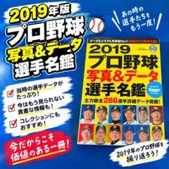プロ野球写真&データ選手名鑑 2019