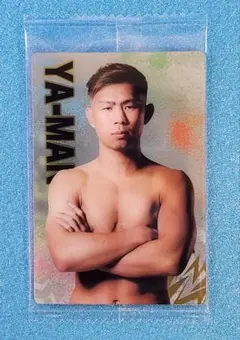 No.31　YA-MAN　RIZINウエハース