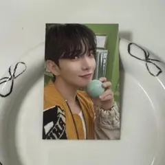 carat land 2025 stadium jacket ジョシュア トレカ