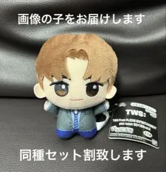 TWS ちびぐるみ YOUNGJAE ヨンジェ - メルカリ