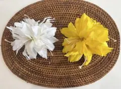 Item thumbnail for item 5a1c4003-58d5-4458-a583-5dfb5b1e2bf9