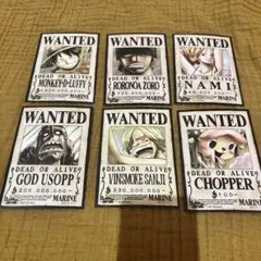 麦わらストア　手配書