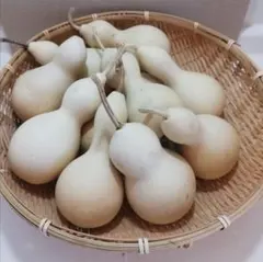 あまちゃん様 リクエスト 2点 まとめ商品