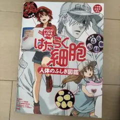 はたらく細胞人体のふしぎ図鑑 : からだのしくみを学べる!