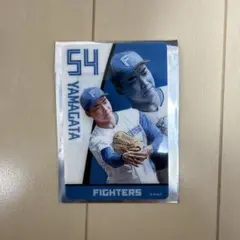 北海道日本ハムファイターズ 山縣秀選手　抽選会　クリアカード
