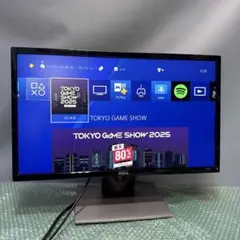 Dell SE2416H 液晶モニター　ディスプレイ
