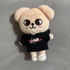 値下げ　スキズ　テディベア　フィリックス⑤ 2025年最新】straykids フィリックス skzooの人気アイテム