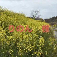 りのん 様