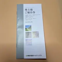 東急不動産ホールディングス　株主優待券1000株以上5000株未満