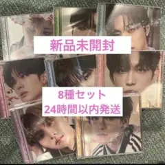 ALD1 euphoria jewelケース 8種セット 新品未開封