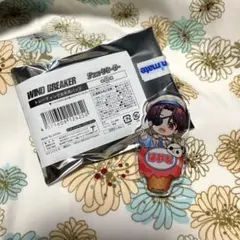 WIND BREAKER 蘇芳隼飛　チェックセーラー　トレーディングお名前バッチ