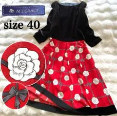 2025年最新】エムズグレイシー 40ワンピースの人気アイテム - メルカリ