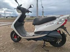 むしむし様 専用