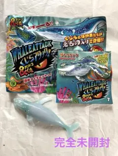ザトウクジラ くじらアタック アンドコWHALEATTACK&co