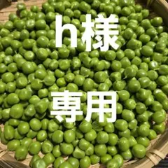 h様専用ページです❣️