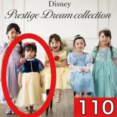 2025年最新】ビビディバビディブティック アリエルの人気