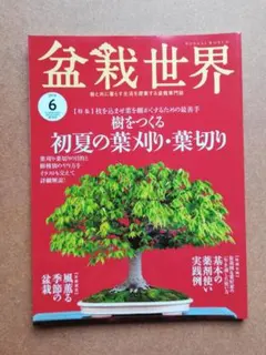 2025年最新】盆栽世界の人気アイテム - メルカリ