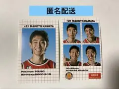 名古屋ダイヤモンドドルフィンズ 証明写真風ステッカー 鎌田真