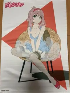 パンチライン ソフマップ購入特典 B2タペストリー