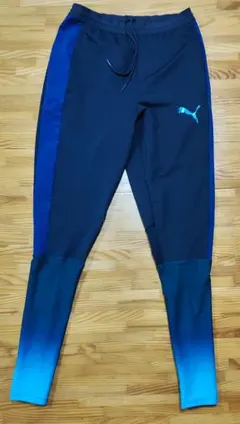 プーマ(PUMA) EVOTRG テックパンツ グラデーションのサムネイル