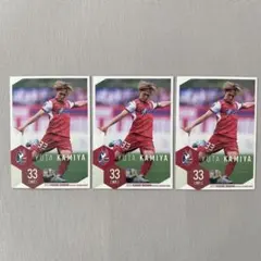 Item thumbnail for item 7c8b3077-8b7b-45c1-b01b-a7332ab9900b