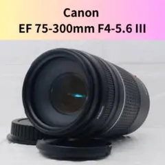 2026年最新】canon kiss x8i 望遠レンズの人気アイテム - メルカリ