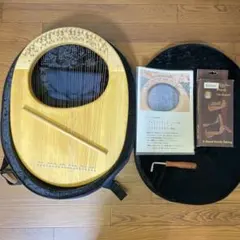 2026年最新】ライアー 楽器の人気アイテム - メルカリ
