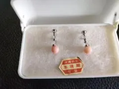 未使用沖縄本珊瑚イヤリング
