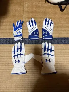 Item thumbnail for item e8b9240d-de32-4c81-bdd6-f0e3f93abc34