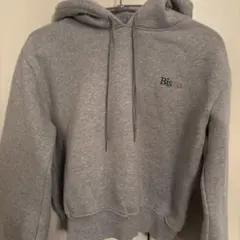 [値下げ中]REDYAZELグレーパーカー レディーストレーナー 裏起毛