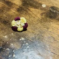 未使用♡花デザイン ブローチ