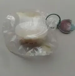 momo スクイーズ お寿司