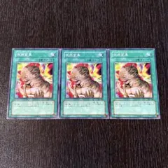 遊戯王 突然変異 メタモルフォーゼ 3枚 301-038 3684