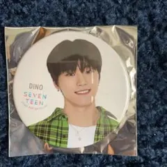 SEVENTEEN 109 缶バッチ 缶バッジ ディノ