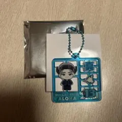 超特急アロハ Real？ ランダムプラスチックモデル風アクリルキーホルダー