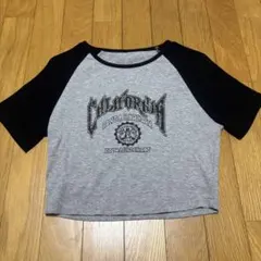 半袖tシャツ レディース