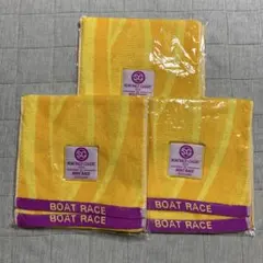 Item thumbnail for item 43a54f26-ef5d-48f3-b3fc-573e37abb122